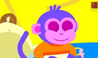 猴子英文复数 猴子英文怎么写